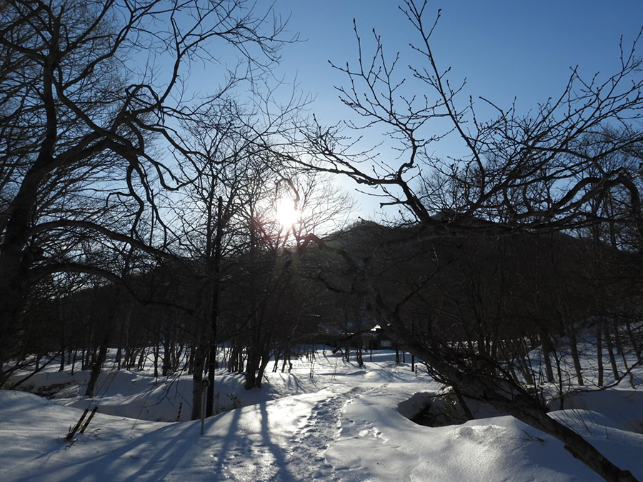 オープンしたスノーシューコース