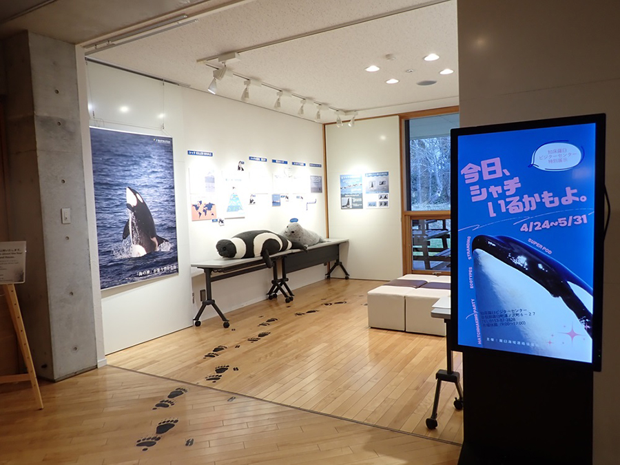 展示室①
