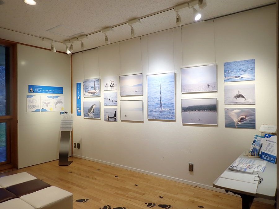 展示室②