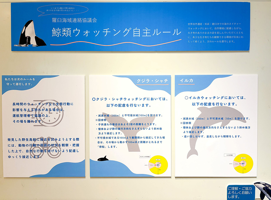 鯨類ウォッチング自主ルールの展示写真