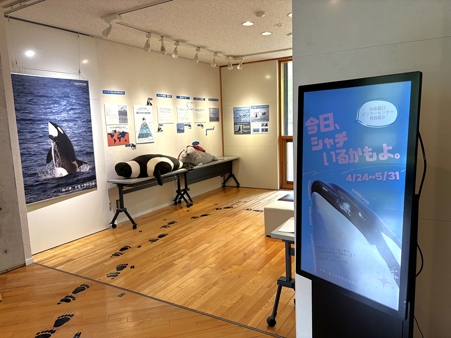 鯨類ウォッチング自主ルールの展示写真