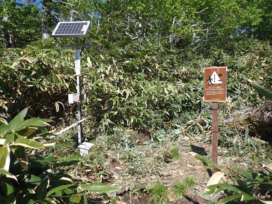 カウンター設置状況
