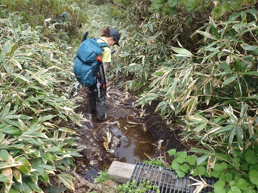 歩道の泥濘状況