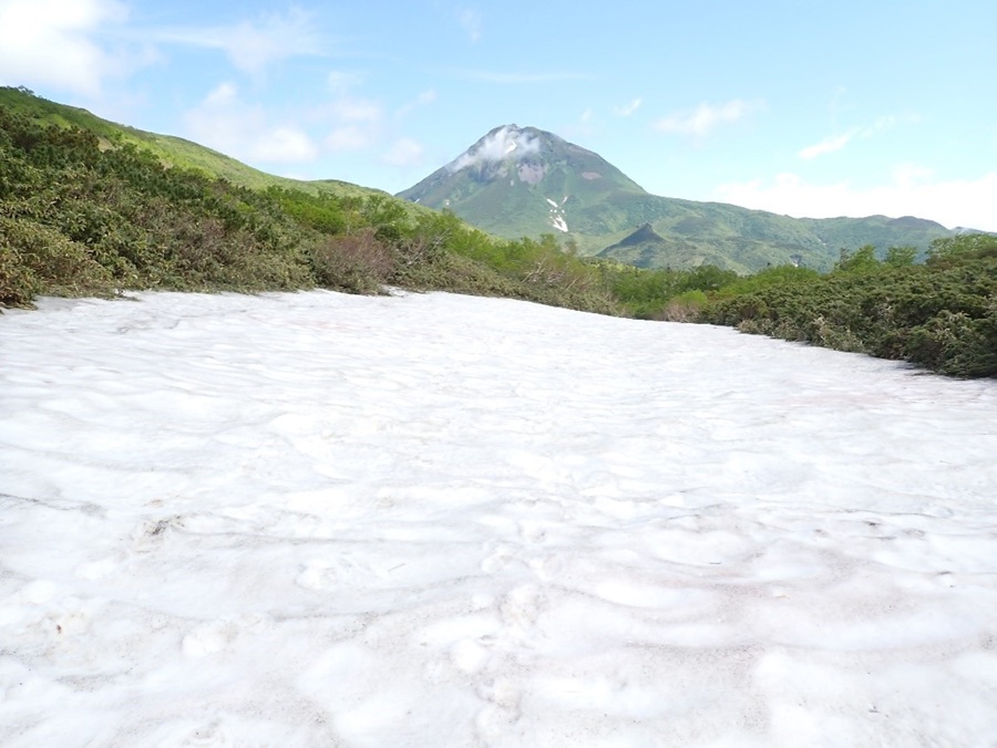歩道上の雪渓