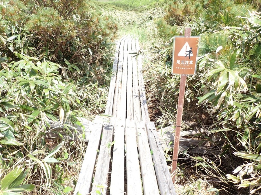 木道の破損状況