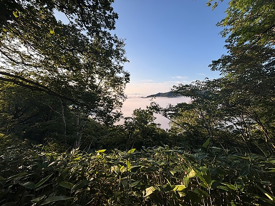 里見台
