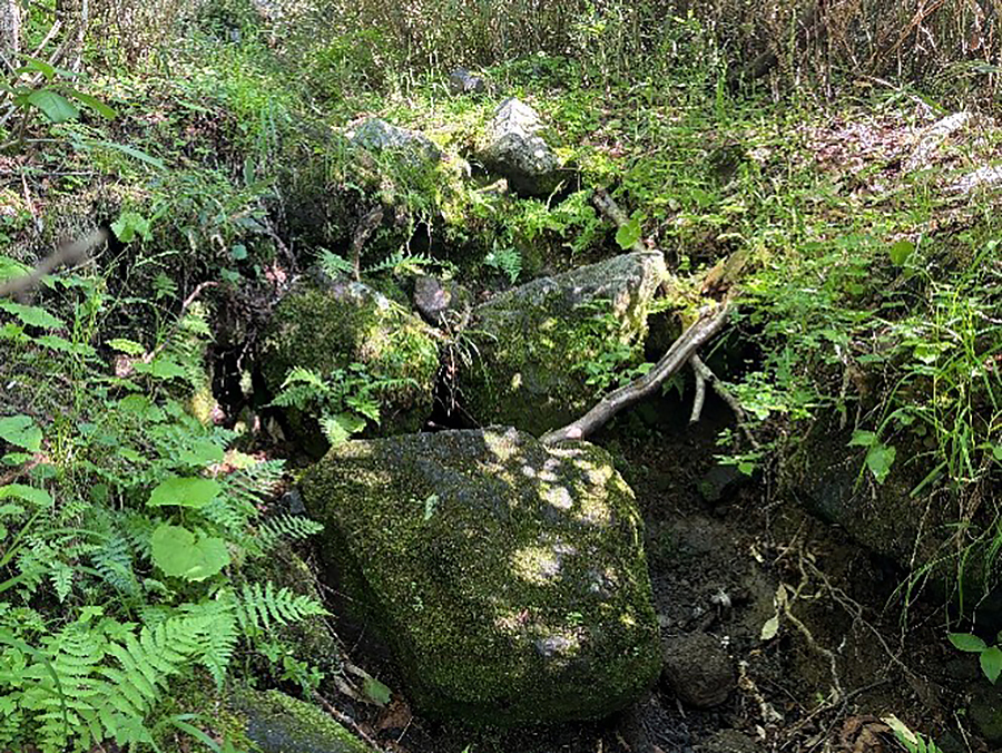 滑る岩