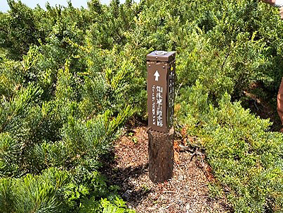 縦走路分岐