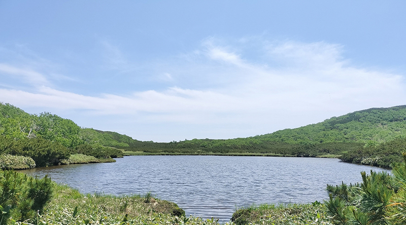五の沼の様子