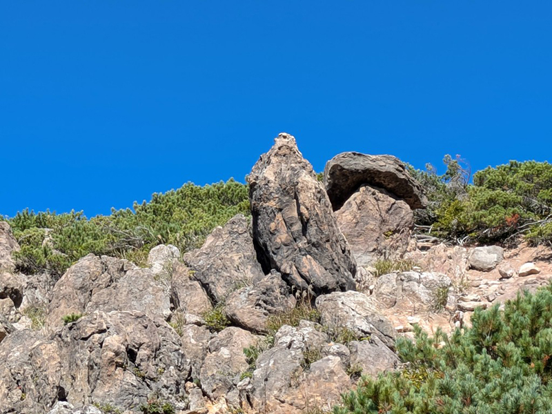 オオワシのような岩