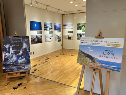 特別展「NHK北海道写真展 ワイルドライフ 知床・ヒグマ」開催中