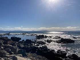 海岸線からの海