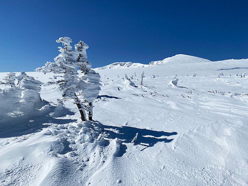 ポロモイ台地_積雪