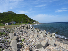 知床の豊かな海がもたらす「生と死」