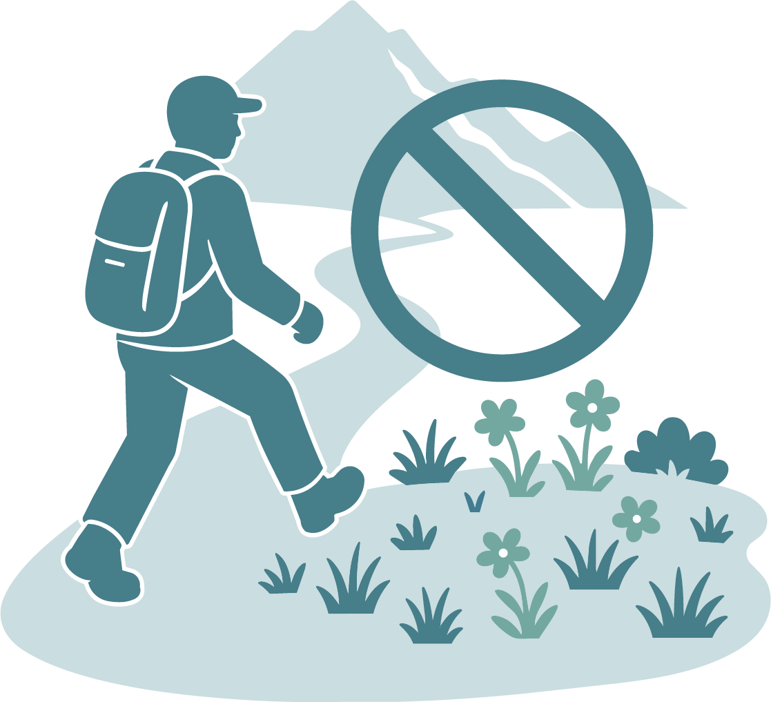 植生の保護について 画像