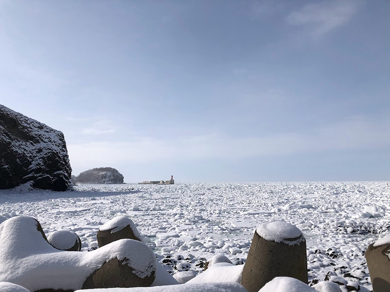 オロンコ岩裏展望台からの流氷