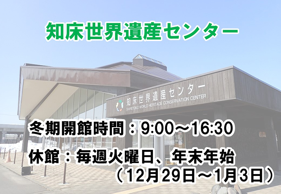 写真遺産センター冬時間