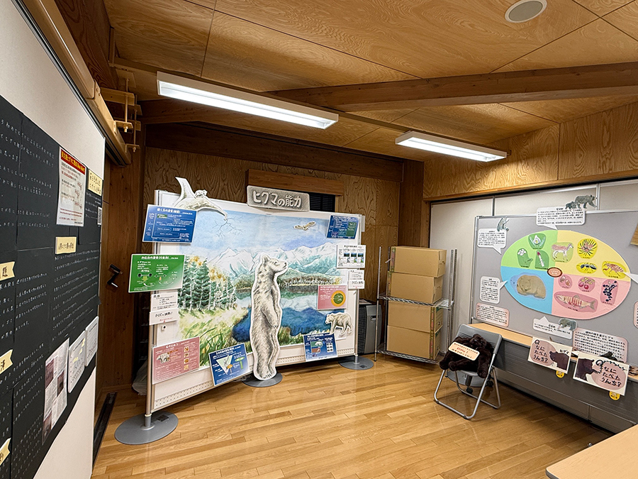 ヒグマを知ろう展全体