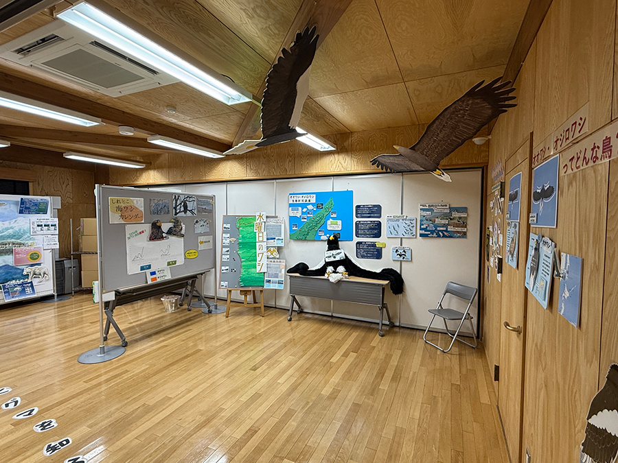 海ワシ展全体