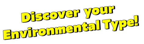 Your environmental type diagnosis!