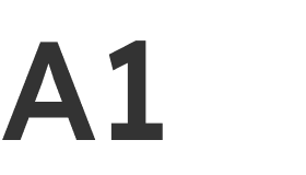 A1