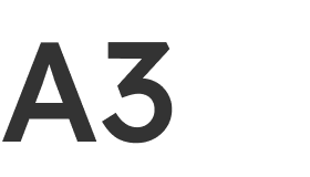 A3
