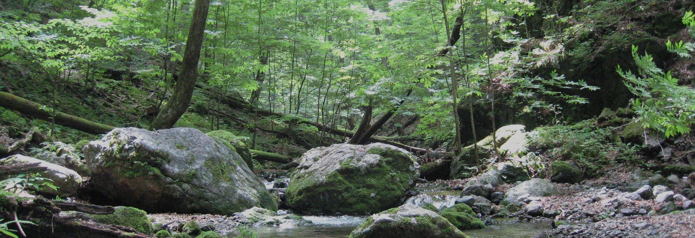 群馬県 上野村