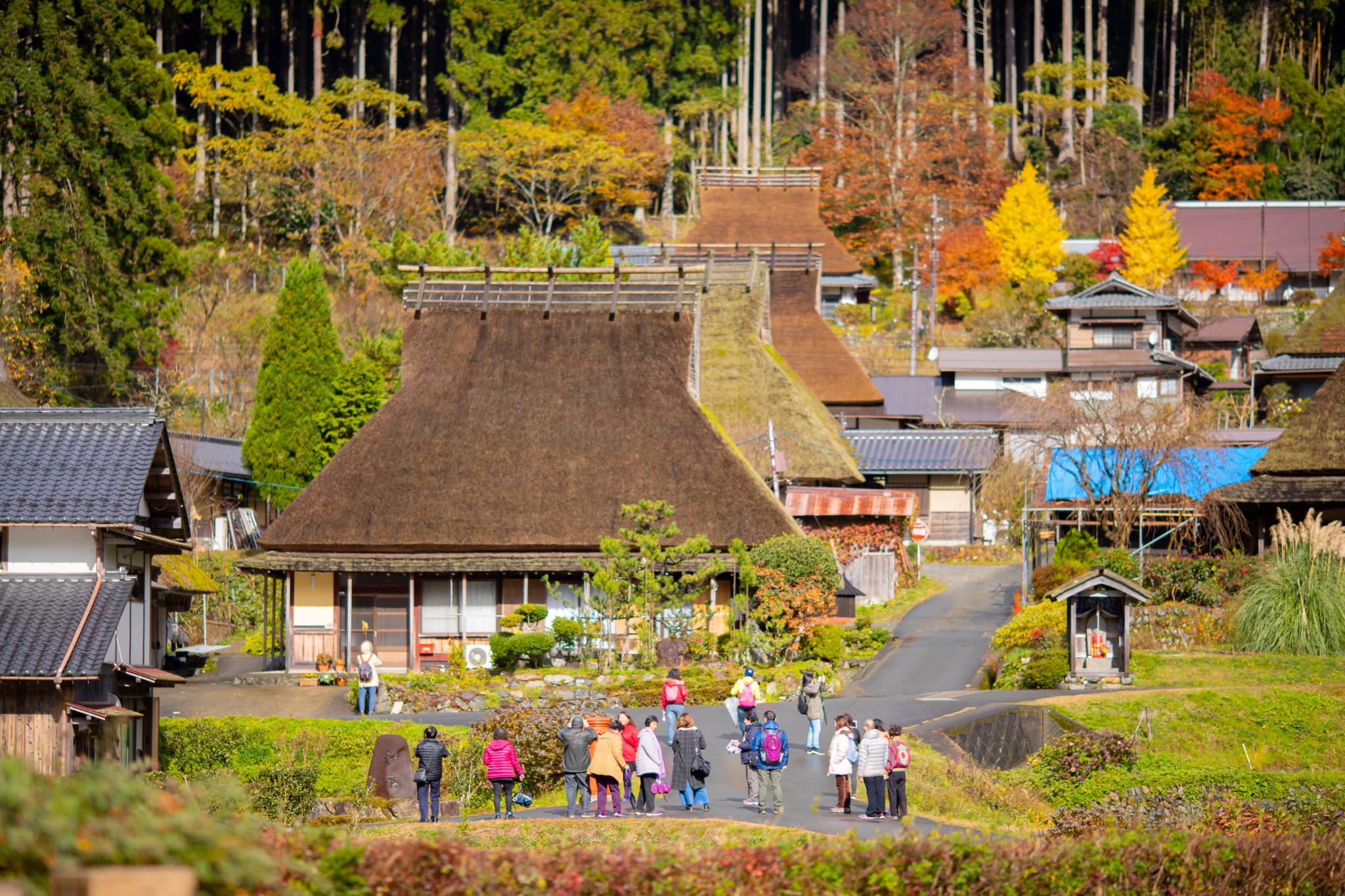 秋の美山かやぶきの里を歩く皆さん