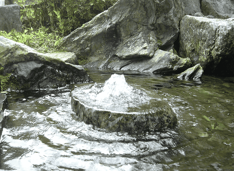 湧き水の風景