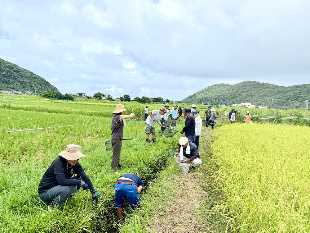 画像：8月30日秋名地区で実施した生物調査フィールドワークの様子