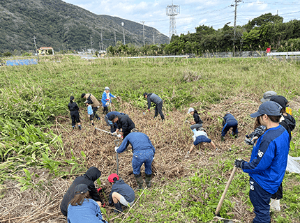 画像：耕作放棄地に繁茂するハナシュクシャを桑などを使って駆除している様子