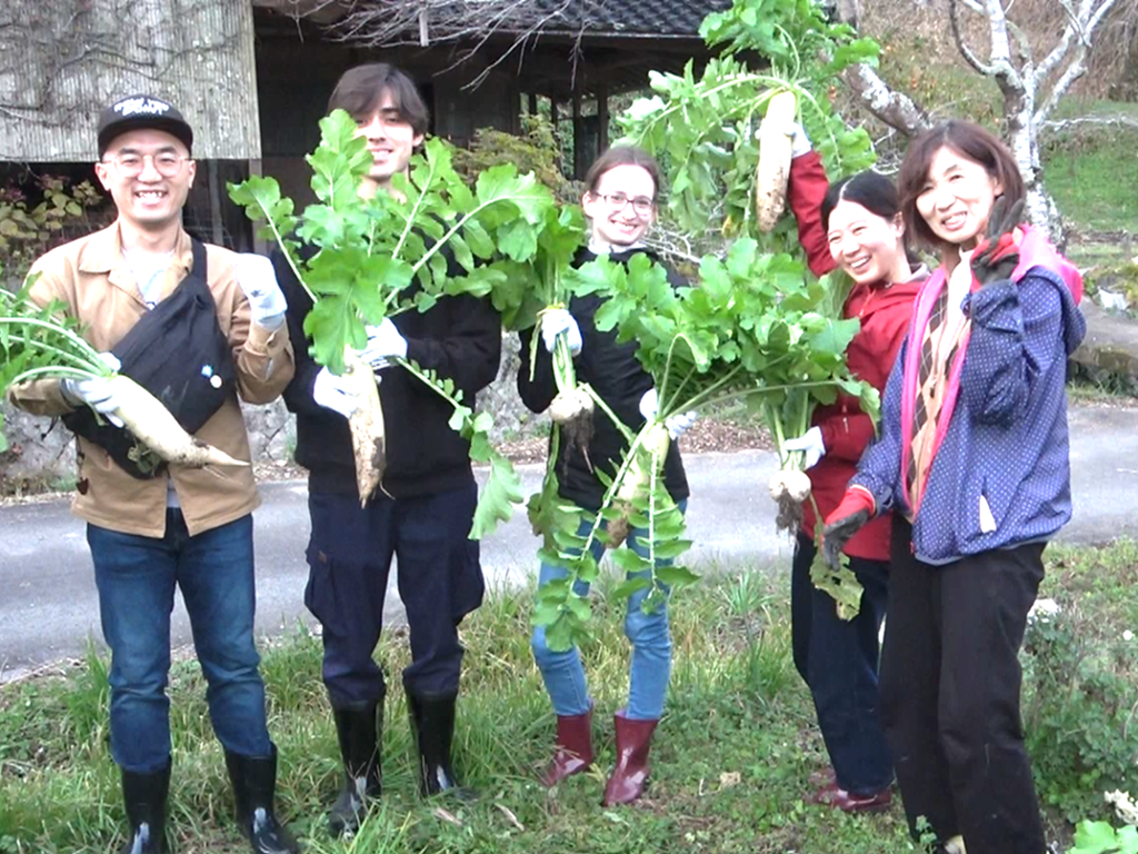 画像：11月26日中津井地区で実施した地元のお母さんの畑で野菜収穫体験