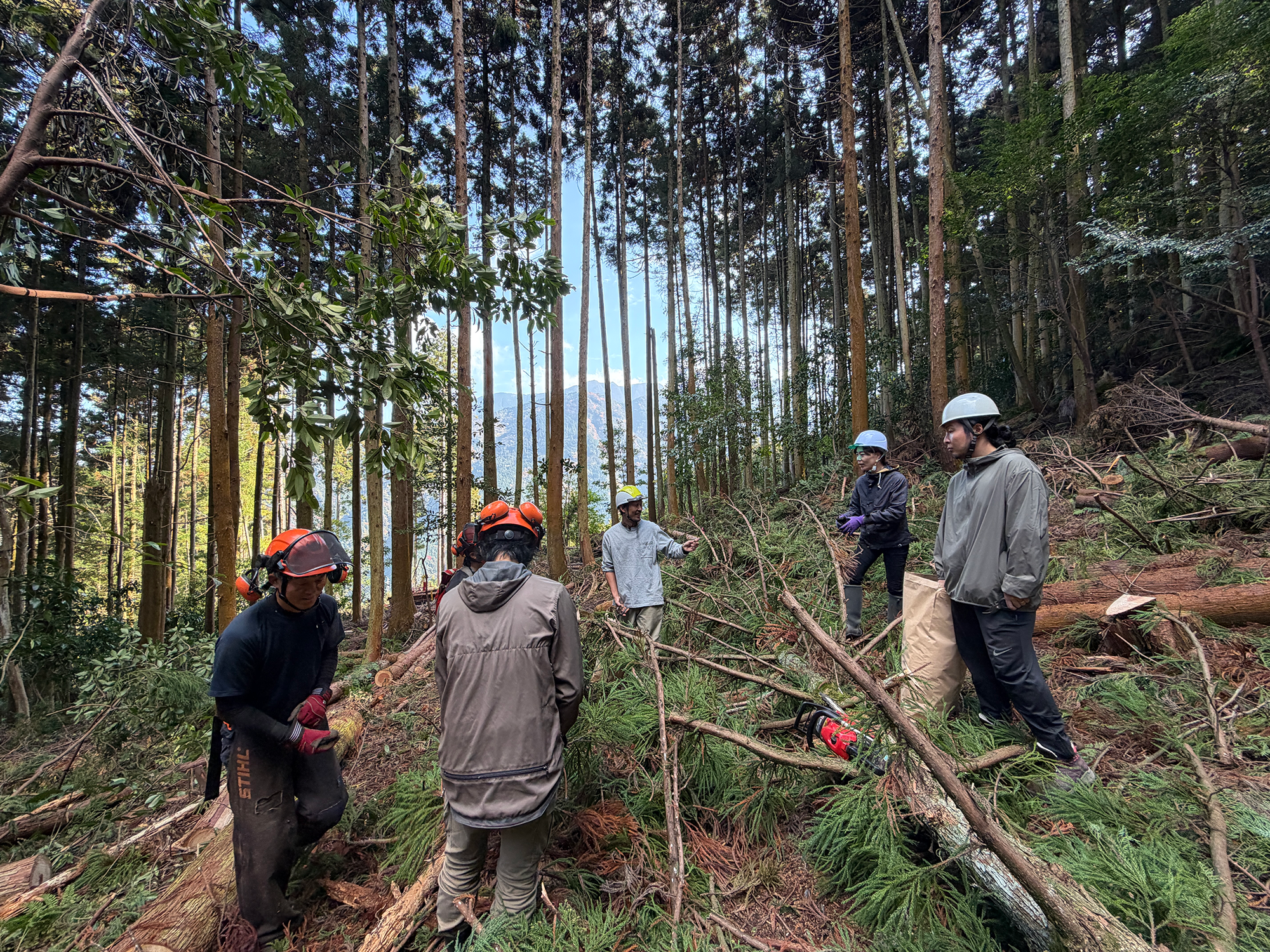 画像：12月2日に実施したプチテストツアー（伐採現場見学）
