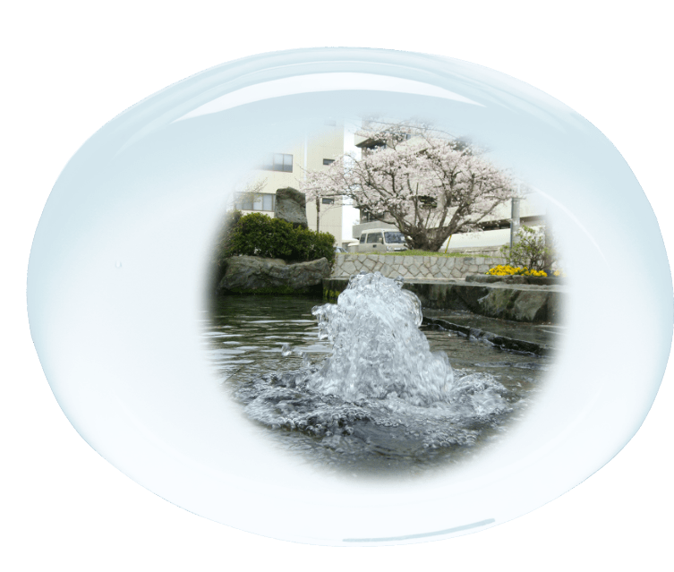 画像：湧き水の様子