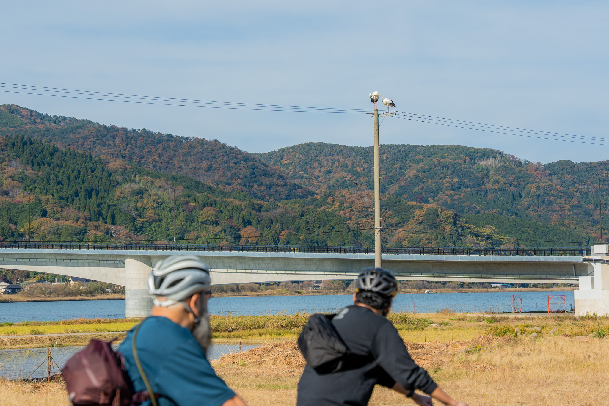 画像：2025年11月23日モニターツアー