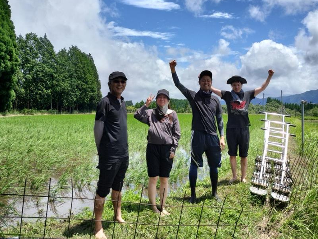 画像：8月30日、矢部地区で実施した企業モニターツアーの水田除草作業体験の様子