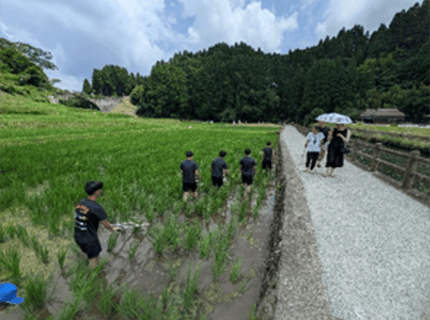  画像：矢部高校の食農・林業科の生徒、環境学部に所属する大学生が田んぼの除草作業の一環としてガンズメ押しを体験している様子