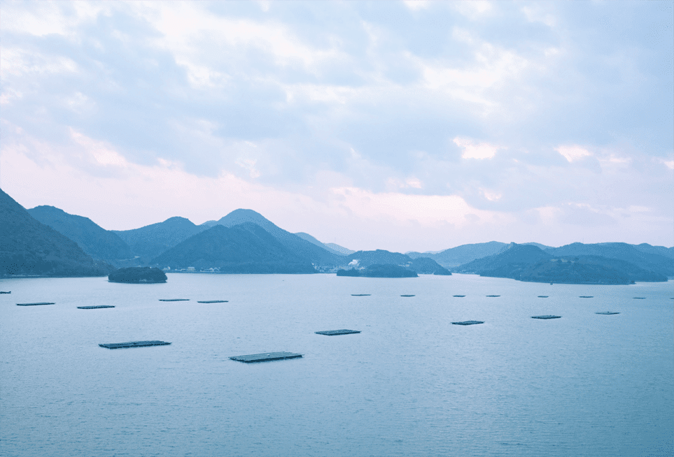 日生諸島とアマモ場