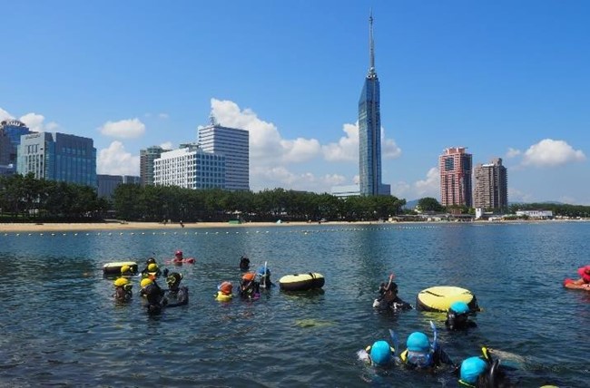 博多湾での調査業務の様子