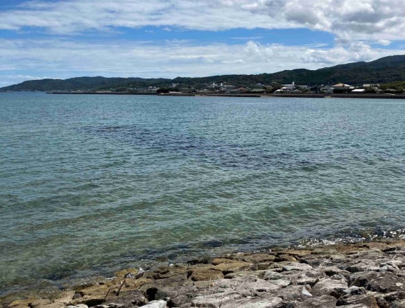 八代海沿岸域