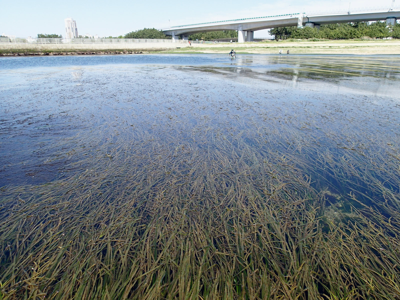 2色の浜