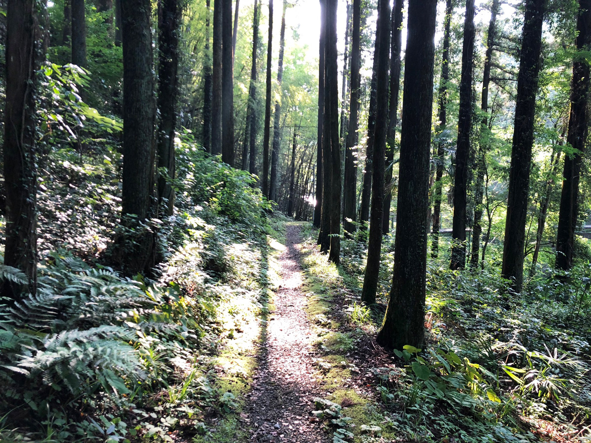山里古道