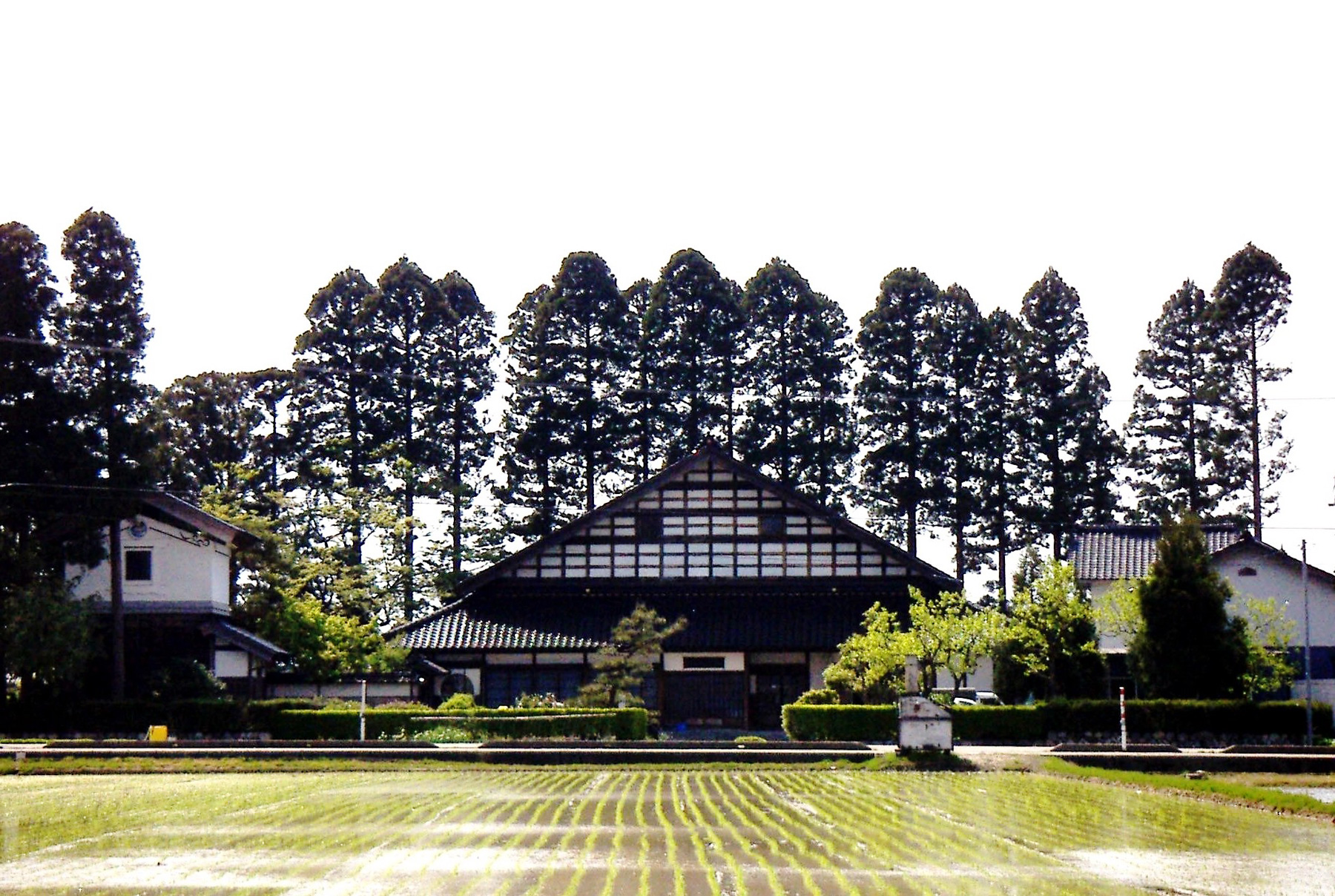 砺波平野の散居村