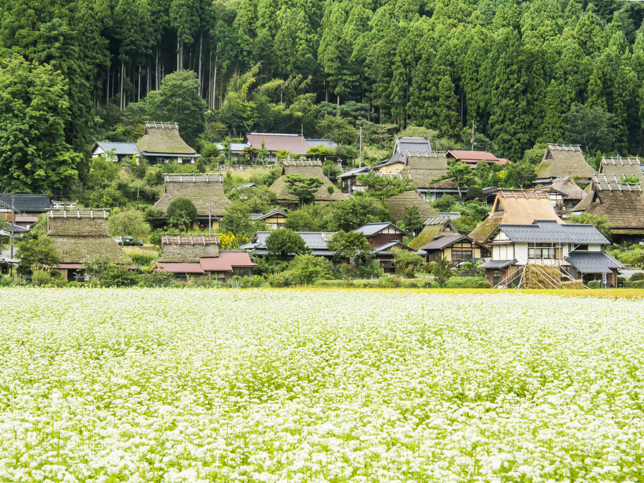 美山かやぶきの里