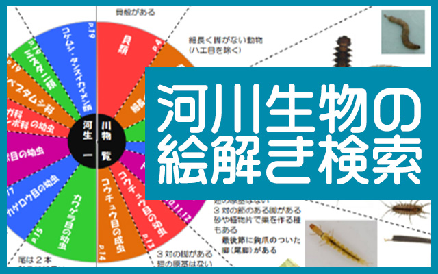 河川生物の絵解き探索