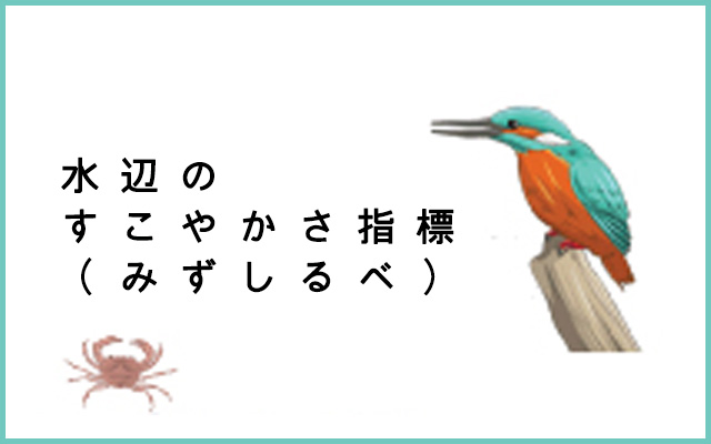 水辺のすこやかさ指標（みずしるべ）「みんなで川へ行ってみよう！」