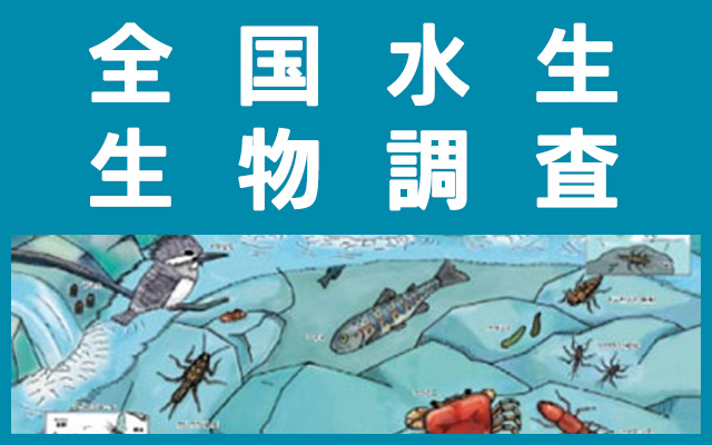 全国水生生物調査