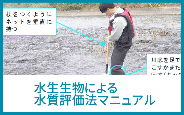 水生生物による水質評価マニュアル