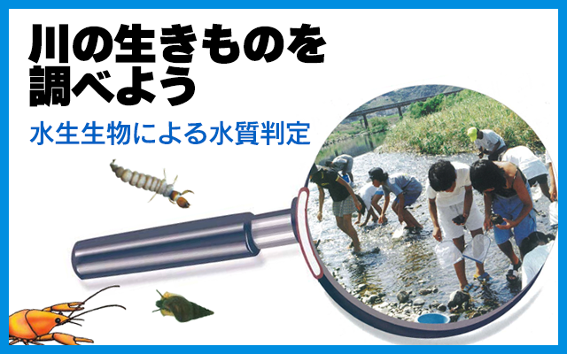 川の生き物を調べてみよう