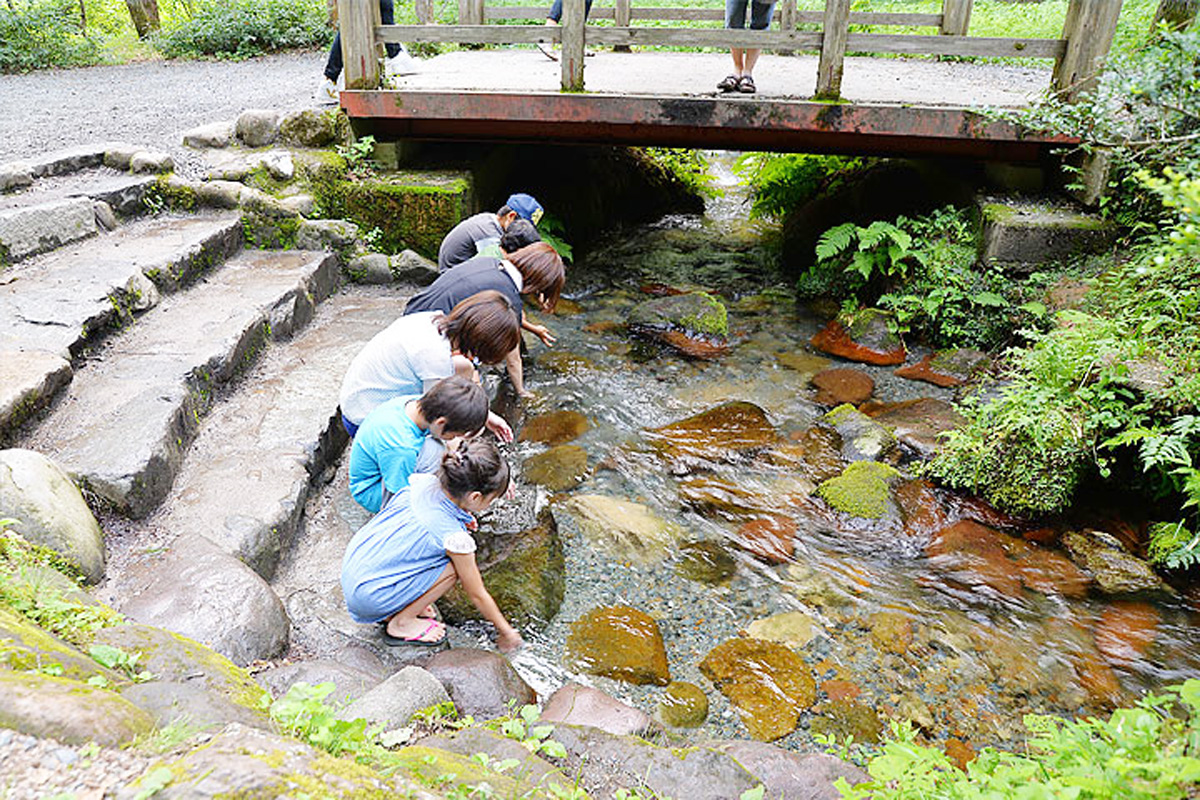 岡山県真庭市「塩釜の冷泉」の様子